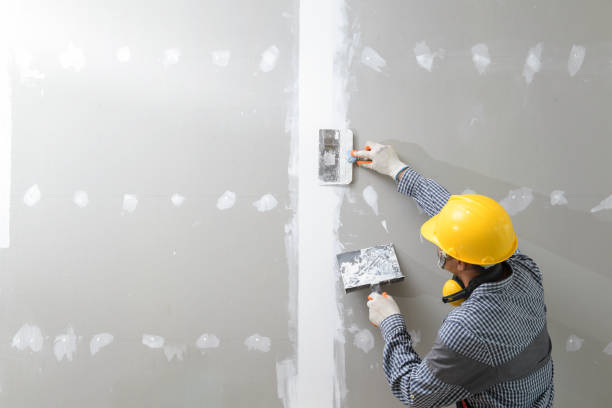 Mold Documentation for Insurance Claims