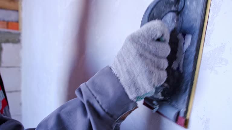 Forensic Mold Investigation in Everett, WA