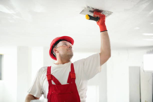 Best Post-Construction Mold Inspection  in Everett, WA