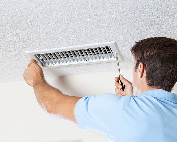 Best Industrial Mold Remediation  in Everett, WA