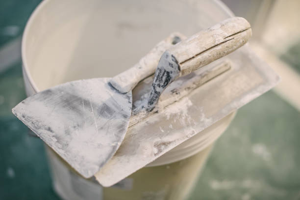 Best Water Damage & Mold Remediation  in Everett, WA