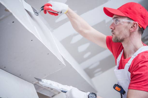 Reliable Everett, WA Mold Removal Solutions